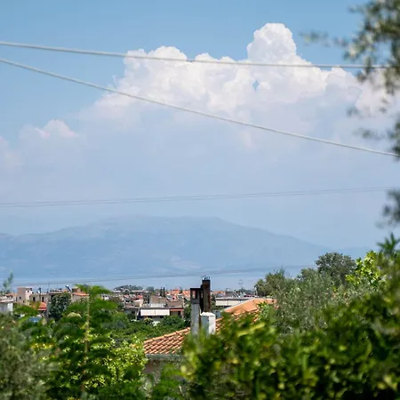 Vintage Family Comfort By Greece * Egio