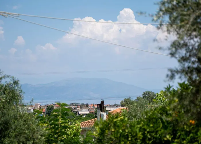 Vintage Family Comfort By Greece * エギオ